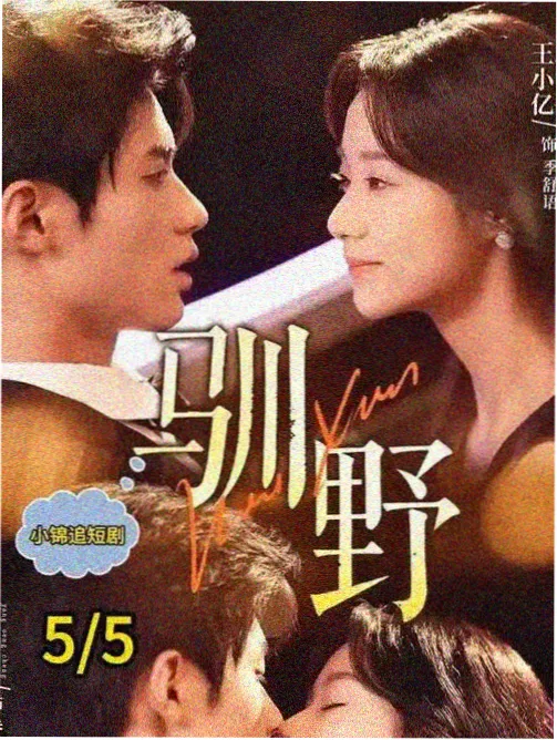回声档案室 剧集短片封面